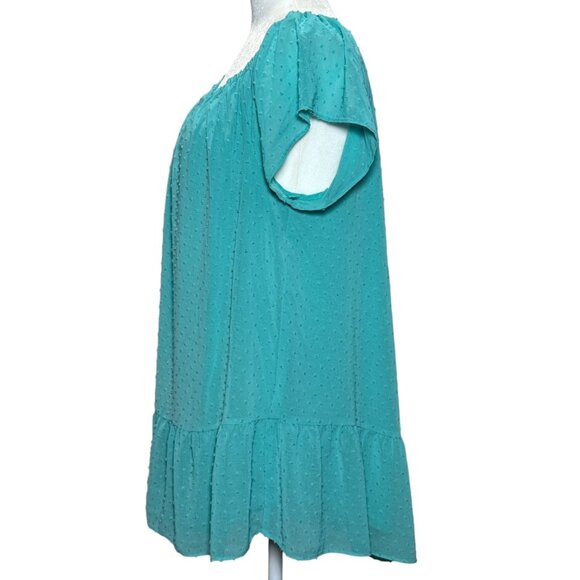 Anthropologie Daniel Rainn Top Shirt Womens 2XL Blue White Swiss Dot Sheer Tunic - Picture 5 of 7